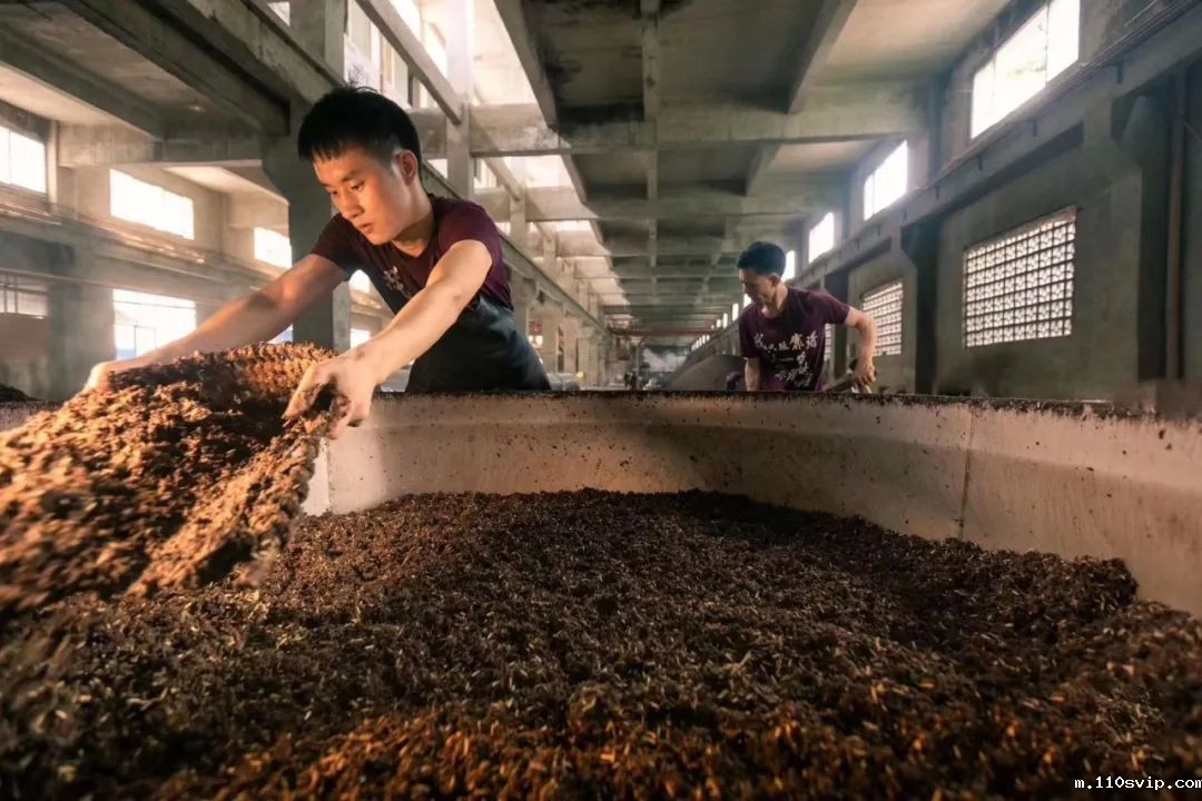 1687328710114015340.jpg 4.jpg