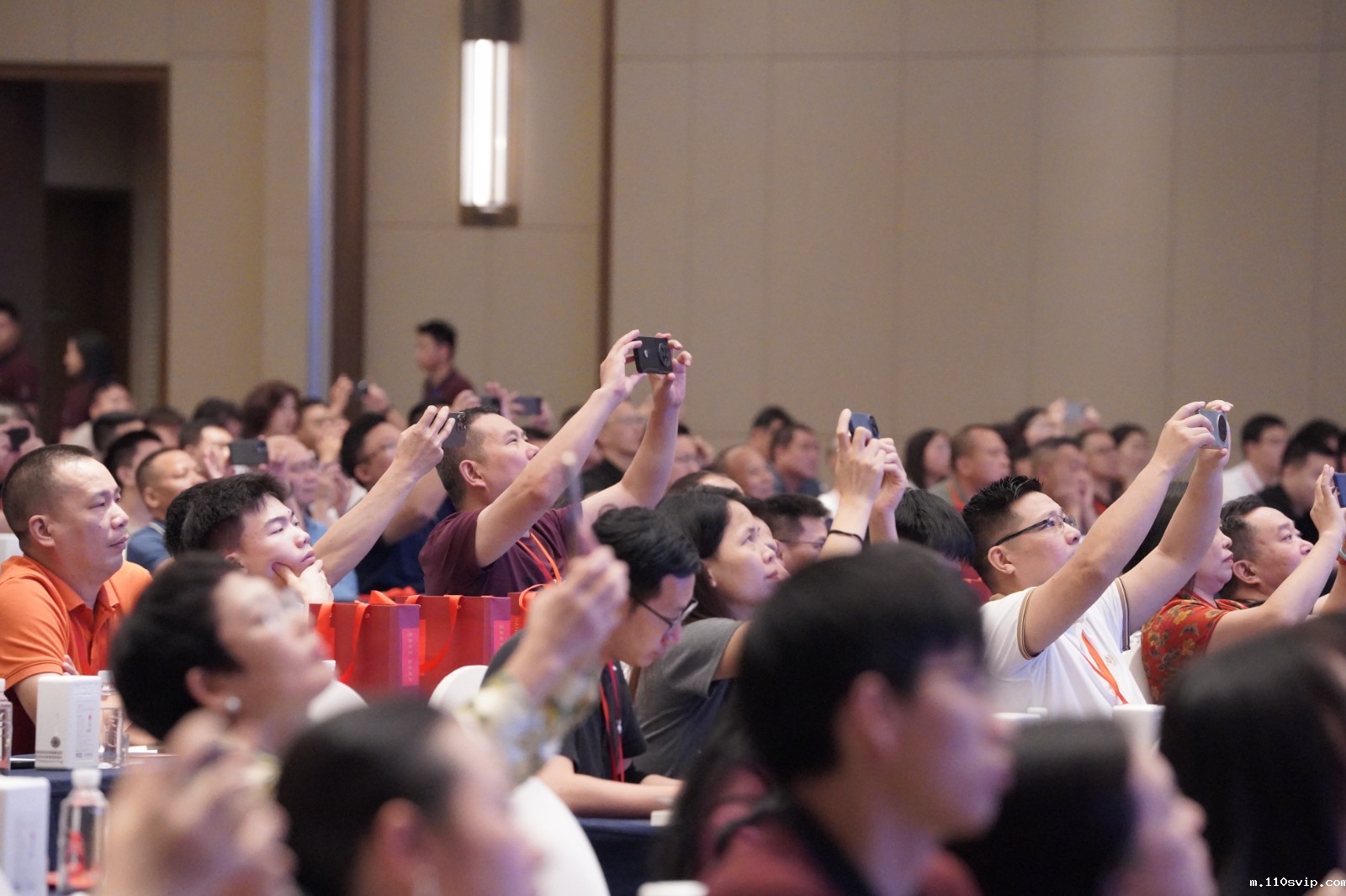 1719886131056068946.jpg _DSC9319-562664447.jpg